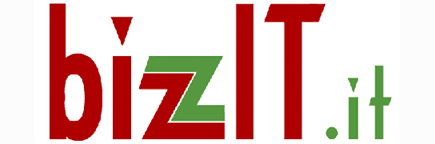 Logo Bizzit