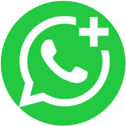 Icona WhatsApp - Contatta Fixxy al +39 352 243 5846 (solo messaggi, non chiamate)
